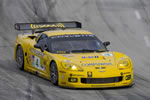 corvette alms 2007